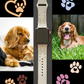 American Cocker Spaniel Dog Watch Band For Apple Watch