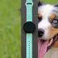 My Australian Shepherd Dog 20mm Samsung Galaxy Watch Band