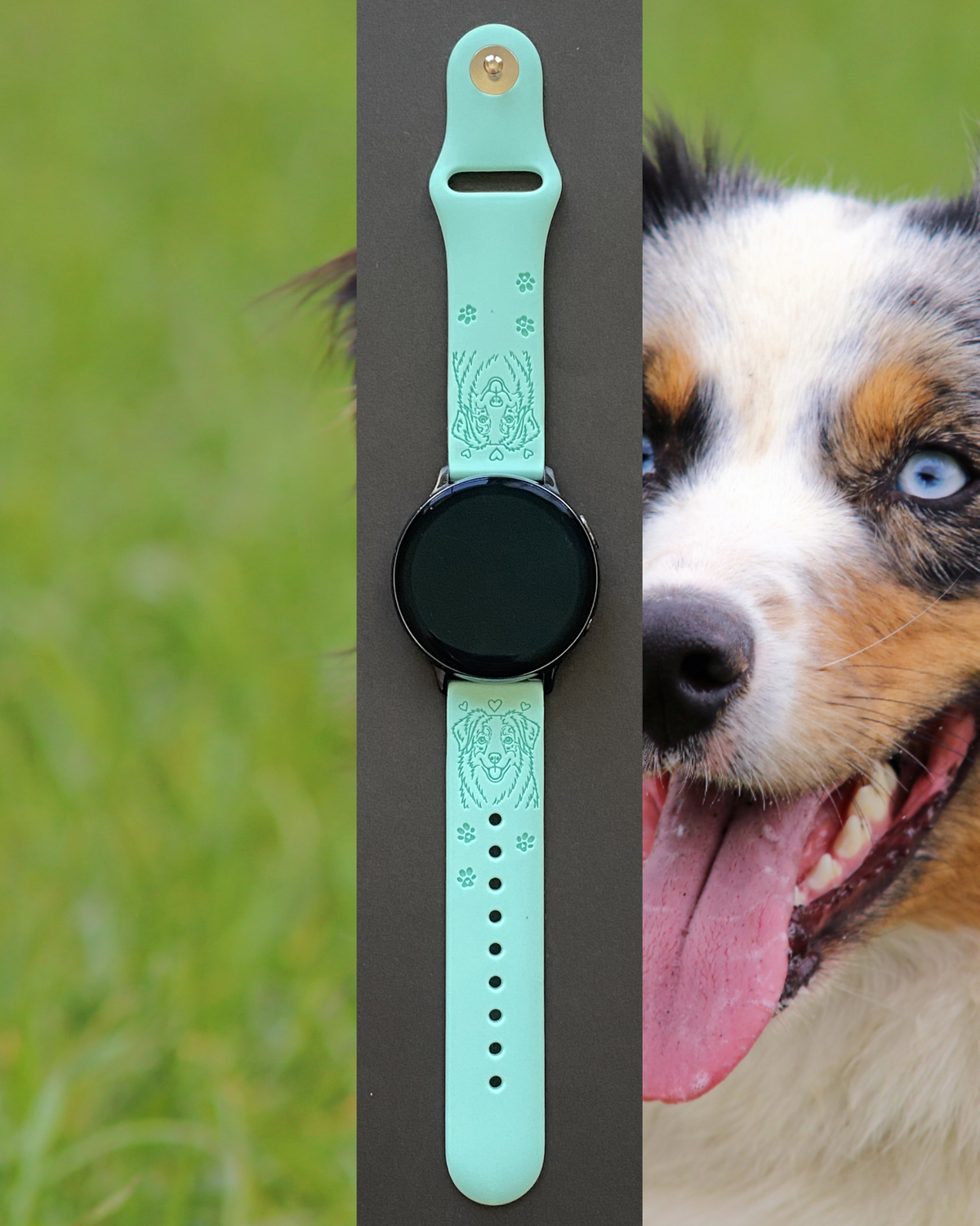 My Australian Shepherd Dog 20mm Samsung Galaxy Watch Band