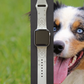 Australian Shepherd Dog Watch Band For Apple Watch