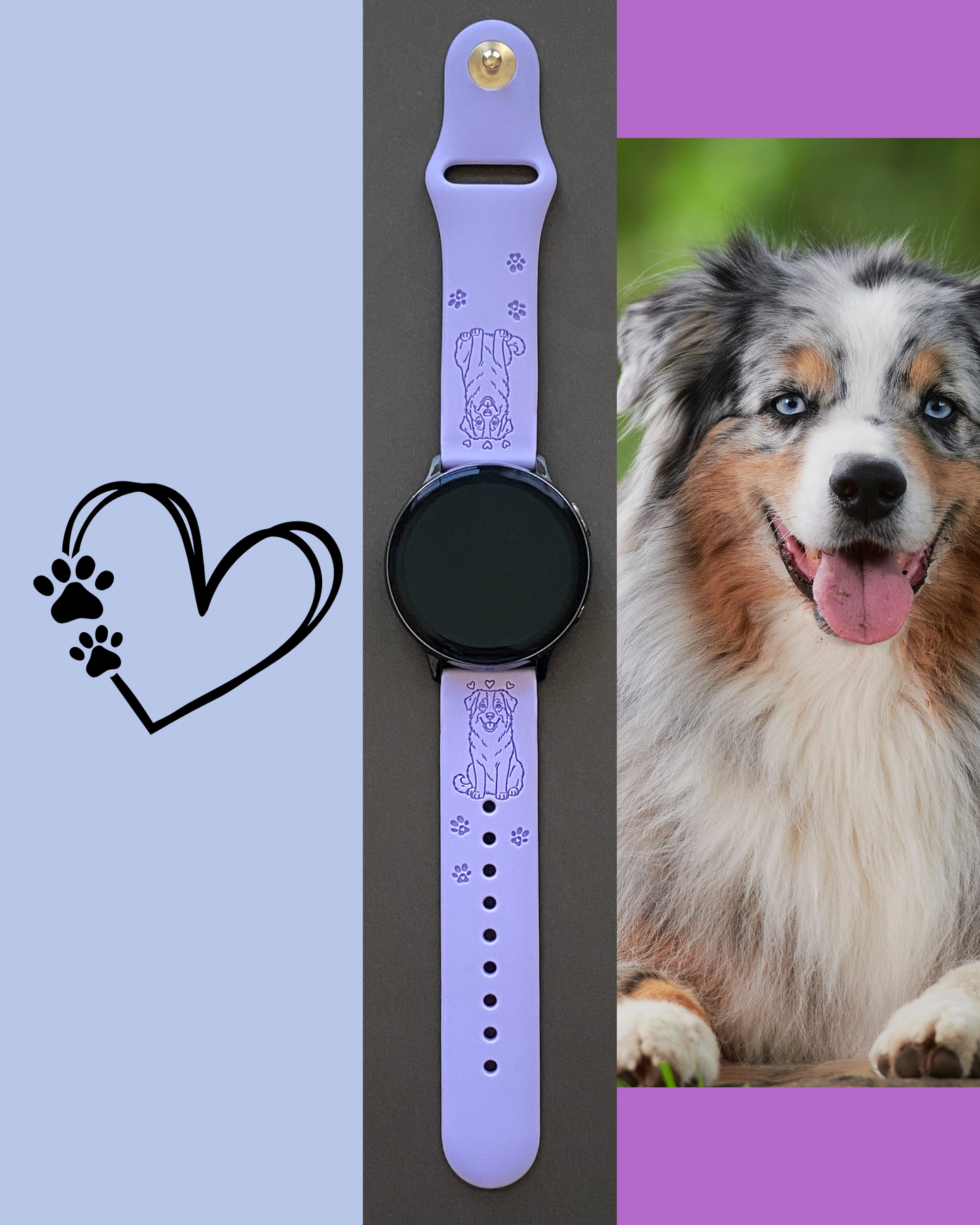 Australian Shepherd Dog 20mm Samsung Galaxy Watch Band