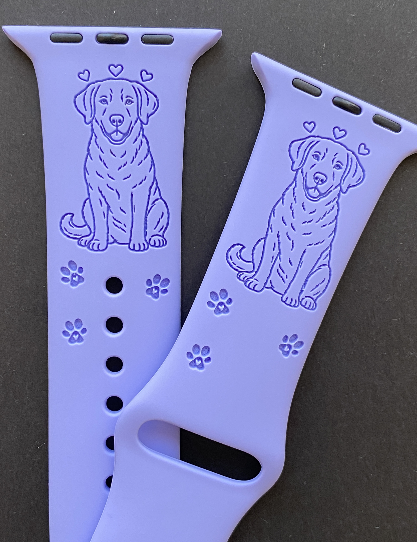 Chesapeake Bay Retriever Dog Watch Band For Apple Watch