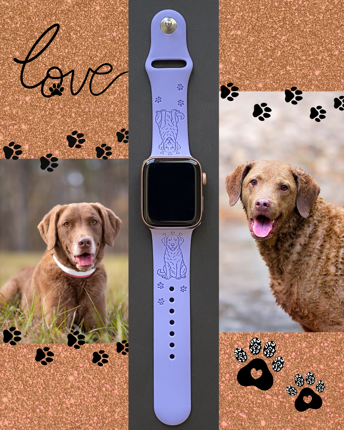 Chesapeake Bay Retriever Dog Watch Band For Apple Watch