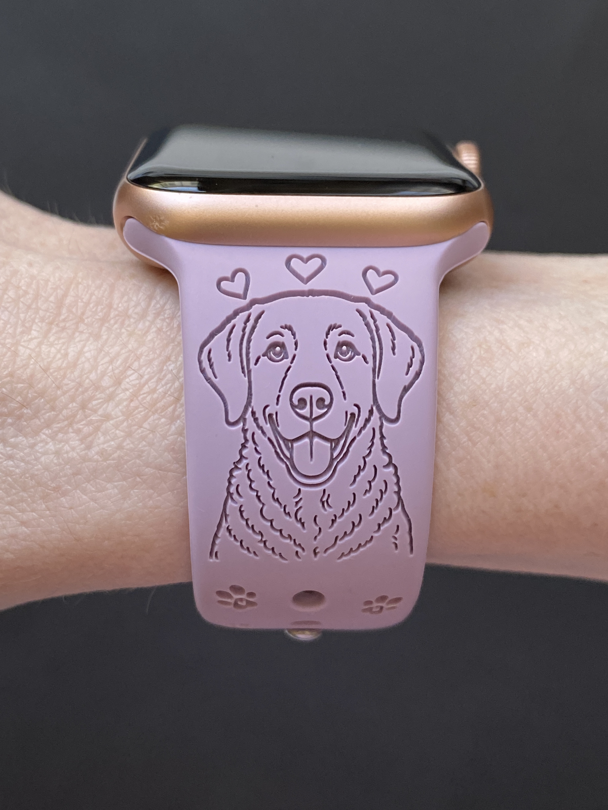 Chesapeake Bay Retriever Dog Watch Band For Apple Watch