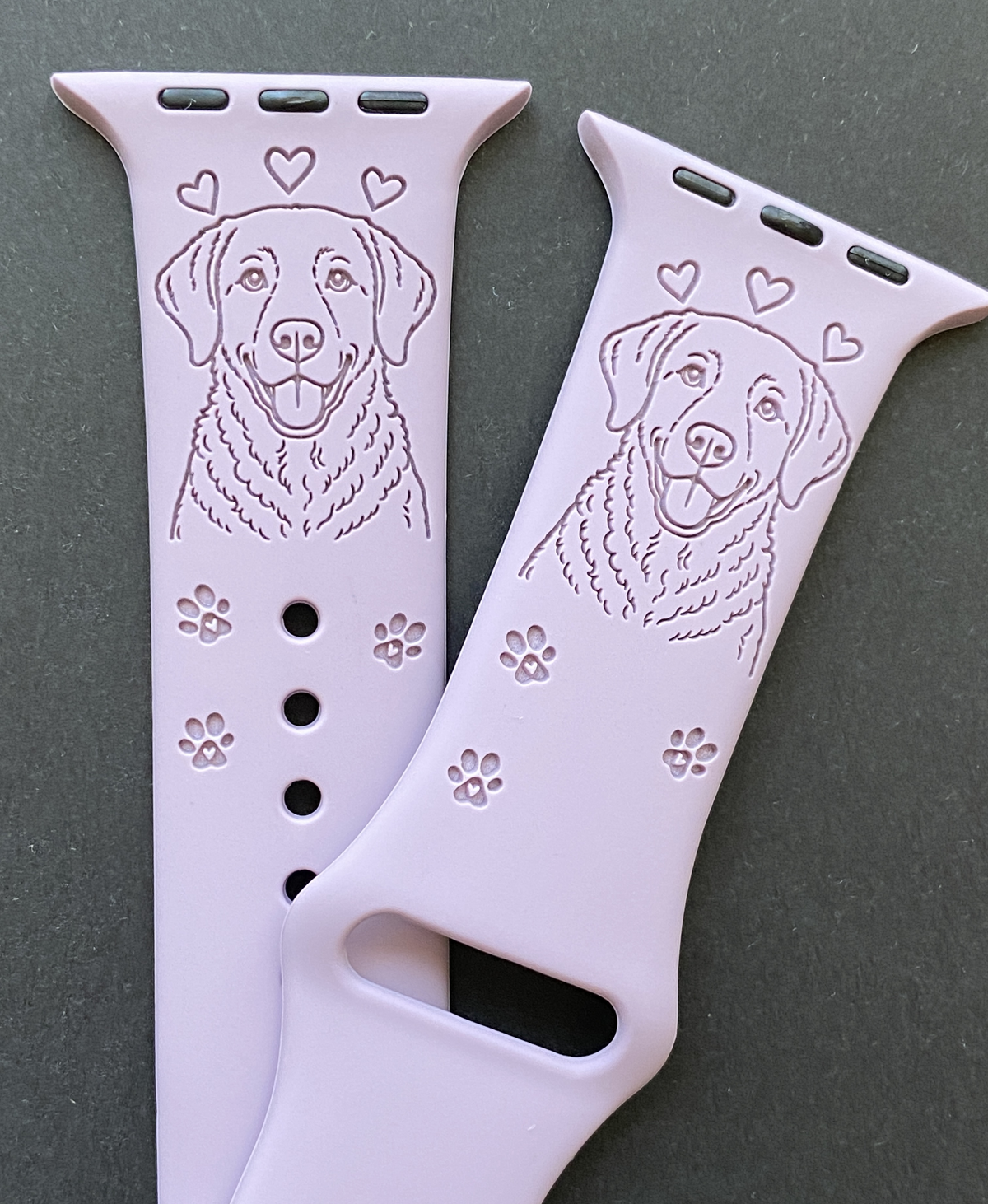 Chesapeake Bay Retriever Dog Watch Band For Apple Watch