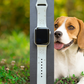 Beagle Dog Watch Band For Apple Watch
