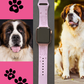 Saint Bernard Dog Watch Band For Apple Watch