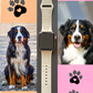 My Pet Bernese Mountain Dog Watch Band For Apple Watch