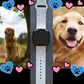 My Best Friend Golden Retriever Fitbit Versa 3/Versa 4/Sense/Sense 2 Watch Band