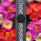 Black Hibiscus Samsung Galaxy Watch Band