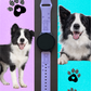 Border Collie 20mm Samsung Galaxy Watch Band