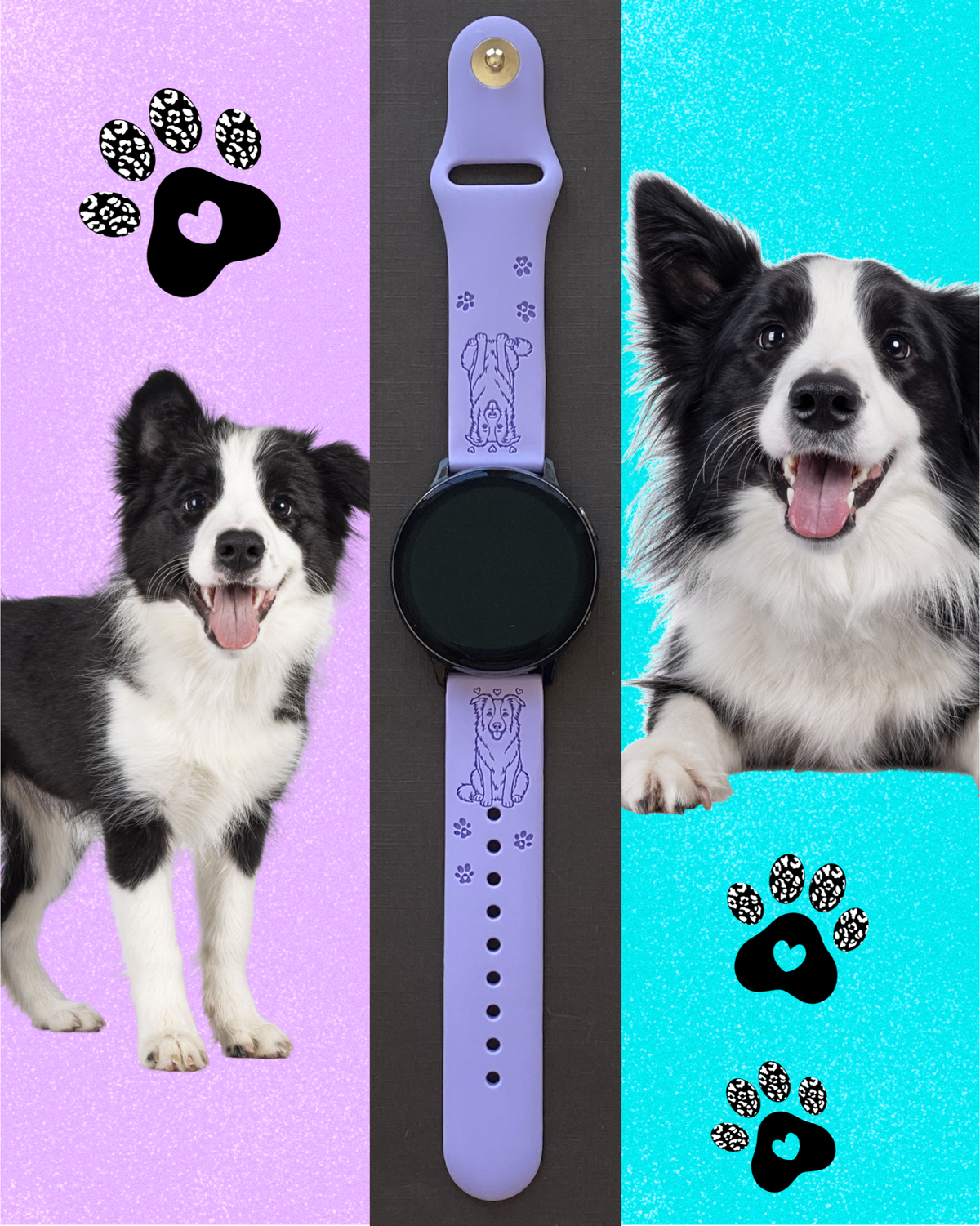 Border Collie 20mm Samsung Galaxy Watch Band