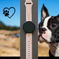 Cute Boston Terrier 20mm Samsung Galaxy Watch Band