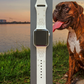 Boxer Dog Watch Band For Apple Watch