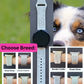 Dog Breed (#3) 20mm Samsung Galaxy Watch Band