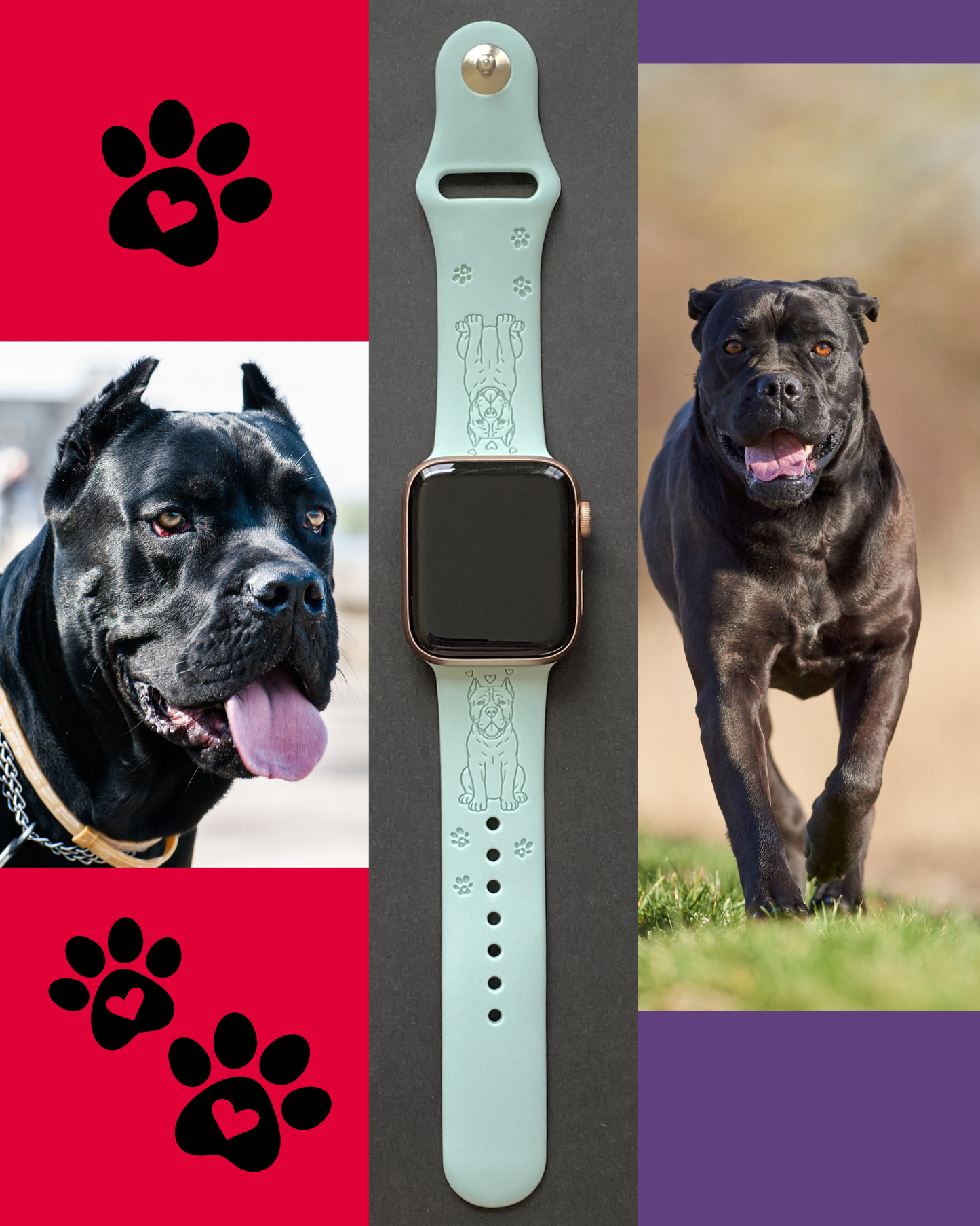 Cane Corso Dog Watch Band For Apple Watch