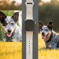 Australian Cattle Dog Watch Band For Apple Watch