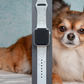 Chihuahua Dog Watch Band For Apple Watch