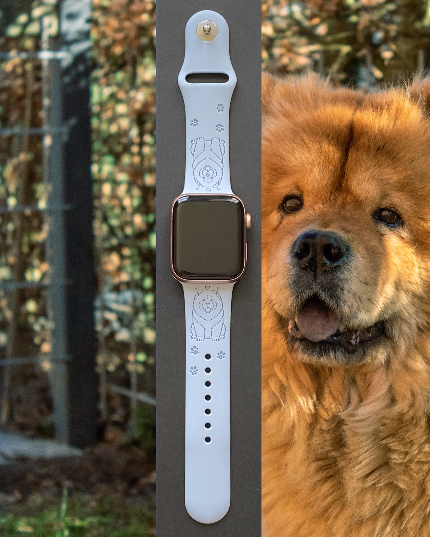 Chow Chow Dog Watch Band For Apple Watch