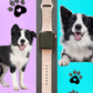 My Pet Border Collie Dog Watch Band For Apple Watch