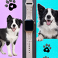 My Pet Border Collie Dog Watch Band For Apple Watch