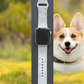 Corgi Dog Watch Band For Apple Watch