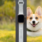 Corgi Dog Watch Band For Apple Watch