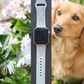 Dachshund Dog Watch Band For Apple Watch
