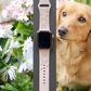 Dachshund Dog Watch Band For Apple Watch