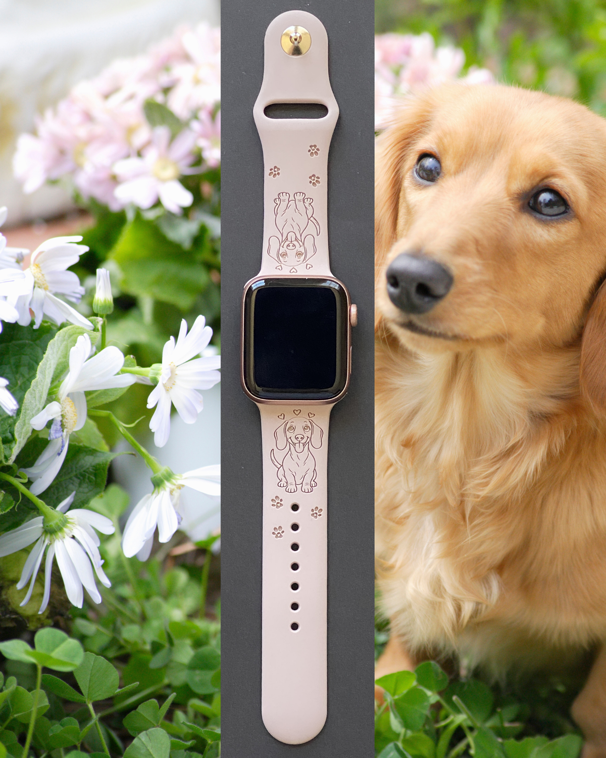 Dachshund Dog Watch Band For Apple Watch