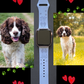 English Springer Spaniel Dog Watch Band For Apple Watch