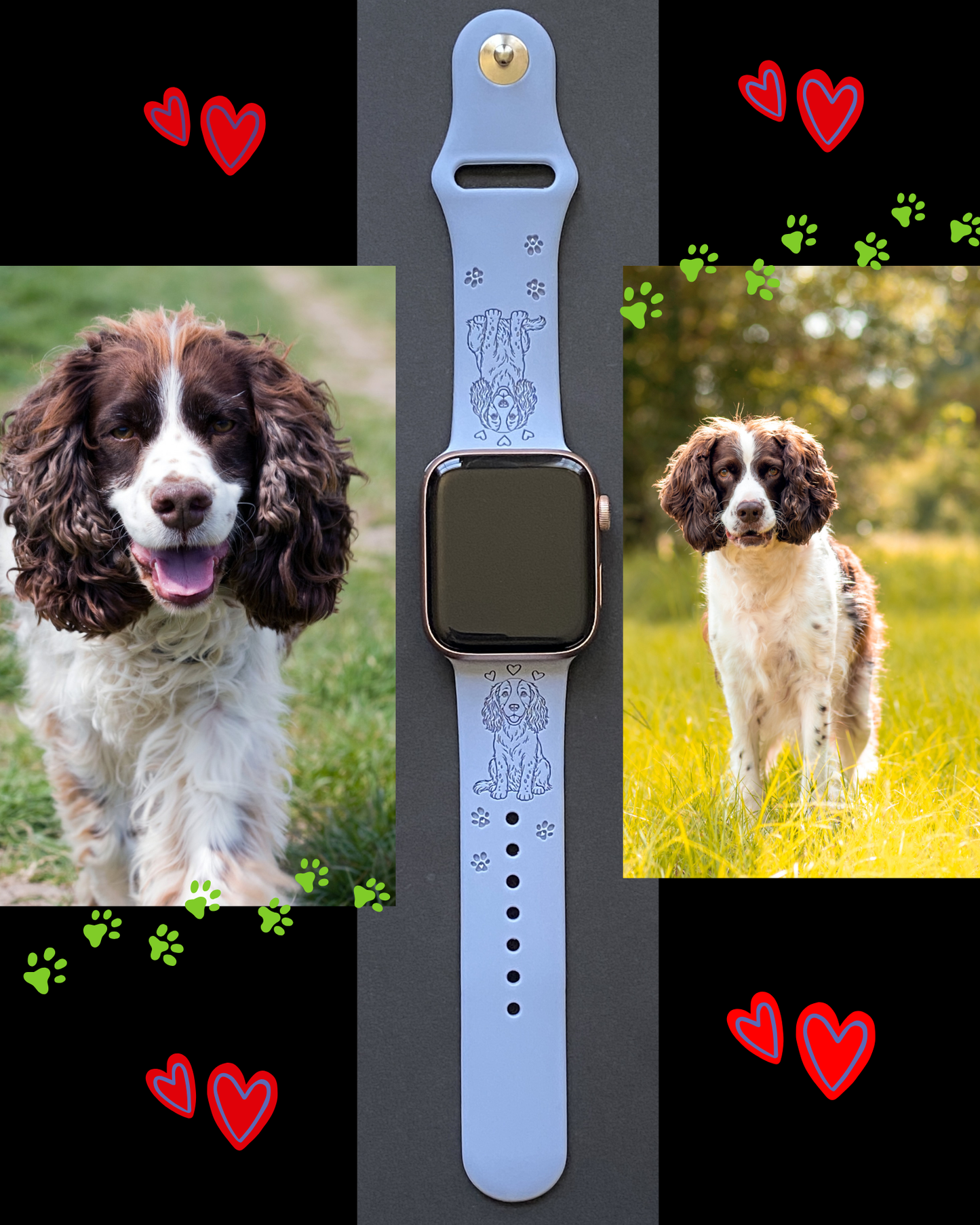 English Springer Spaniel Dog Watch Band For Apple Watch