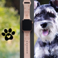 Fancy Schnauzer Dog Watch Band For Apple Watch