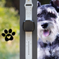 Fancy Schnauzer Fitbit Versa 3/Versa 4/Sense/Sense 2 Watch Band