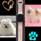 Fluffy Pomeranian Dog Watch Band For Apple Watch