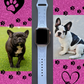 My Little French Bulldog Dog Watch Band For Apple Watch