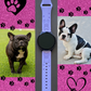 My Little French Bulldog 20mm Samsung Galaxy Watch Band