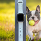 French Bulldog Dog Watch Band For Apple Watch