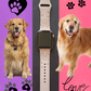 Cheerful Golden Retriever Dog Watch Band For Apple Watch