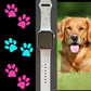 Golden Retriever Dog Watch Band For Apple Watch
