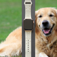 Joyful Golden Retriever Dog Watch Band For Apple Watch