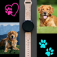 Cute Golden Retriever Dog 20mm Samsung Galaxy Watch Band
