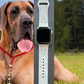 Great Dane Dog Watch Band For Apple Watch
