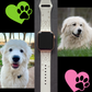 Great Pyrenees Dog Watch Band For Apple Watch