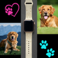 Cute Golden Retriever Watch Band For Apple Watch
