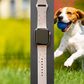 Happy Beagle Dog Watch Band For Apple Watch