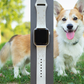 Happy Corgi Dog Watch Band For Apple Watch