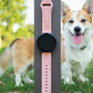 Happy Corgi 20mm Samsung Galaxy Watch Band