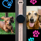 Happy Dachshund Dog 20mm Samsung Galaxy Watch Band