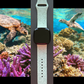 Happy Turtles Fitbit Versa 3/Versa 4/Sense/Sense 2 Watch Band